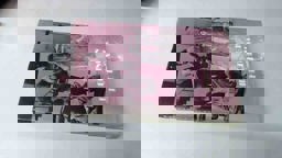 Directing in the Theatre Directing in the Theatre