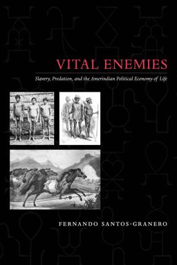 Vital Enemies Slavery, Predation, and the Amerindian Political Economy of Life  9780292719132 Front Cover