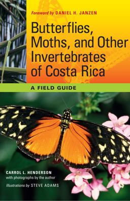 Butterflies, Moths, and Other Invertebrates of Costa Rica A Field Guide  9780292719668 Front Cover