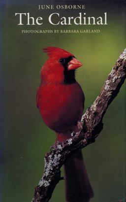 Cardinal  9780292760431 Front Cover