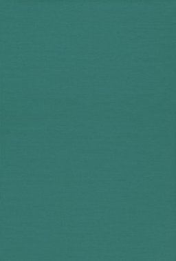 Reef Fishes of the Sea of Cortez