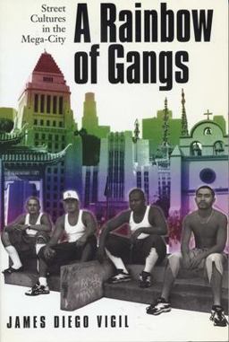 Rainbow of Gangs Street Cultures in the Mega-City  9780292787490 Front Cover