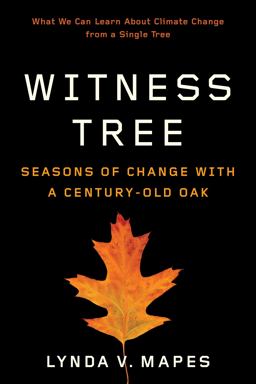 Witness Tree: Seasons of Change With a Century-old Oak  9780295746661 Front Cover