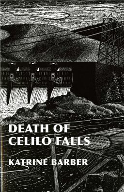 Death of Celilo Falls  9780295985466 Front Cover