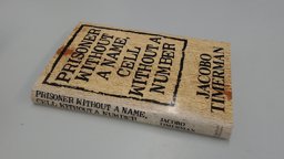 Prisoner Without a Name, Cell Without a Number