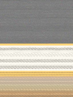 My Championship Year