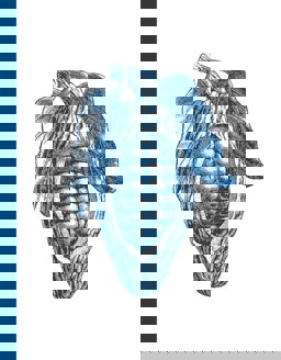 Rococo Mastering the Art of Chocolate  9780297865193 Front Cover