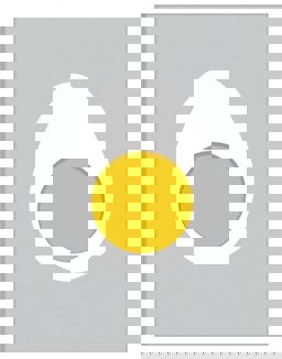 Egg  9780297871606 Front Cover