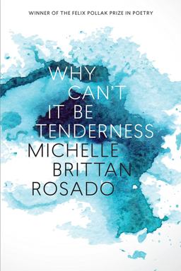 Why Can't It Be Tenderness  9780299319946 Front Cover