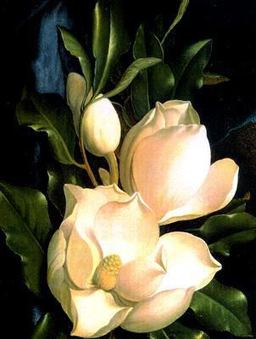 Martin Johnson Heade