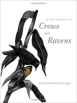 In the Company of Crows and Ravens  9780300100761 Front Cover
