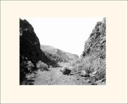 Westward the Course of Empire