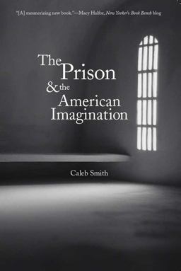 Prison and the American Imagination  9780300171495 Front Cover