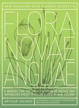 Flora Novae Angliae A Manual for the Identification of Native and Naturalized Higher Vascular Plants of New England  9780300171549 Front Cover