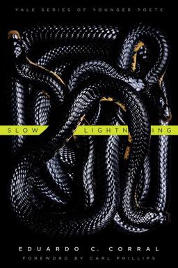 Slow Lightning  9780300178937 Front Cover