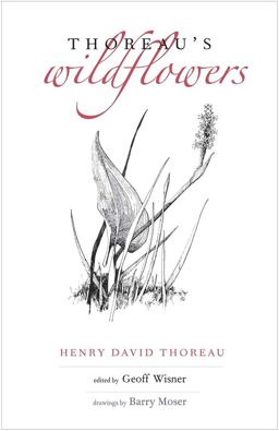 Thoreau's Wildflowers  9780300214772 Front Cover