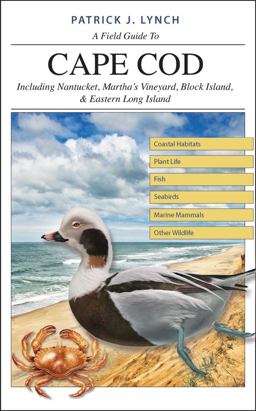 Field Guide to Cape Cod Including Nantucket, Martha's Vineyard, Block Island, and Eastern Long Island  9780300226157 Front Cover