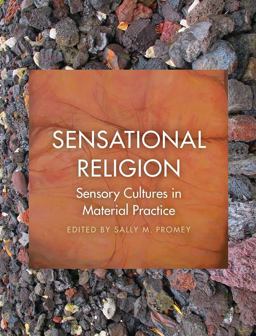 Sensational Religion Sensory Cultures in Material Practice  9780300227086 Front Cover