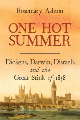 One Hot Summer Dickens, Darwin, Disraeli, and the Great Stink Of 1858  9780300238662 Front Cover