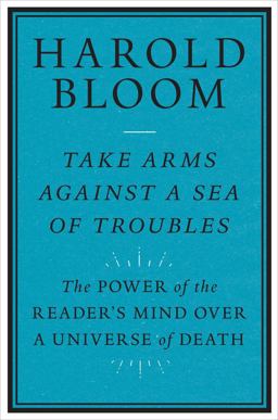 Take Arms Against a Sea of Troubles