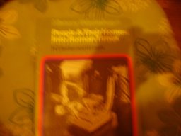 People & Their Homes