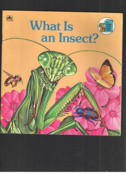 What Is an Insect?
