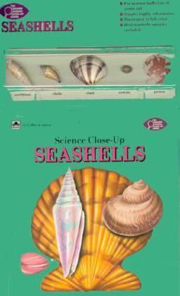 Seashells