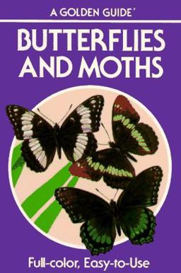 Butterflies and Moths