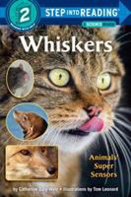 Whiskers