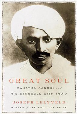 Great Soul Mahatma Gandhi and His Struggle with India  9780307269584 Front Cover