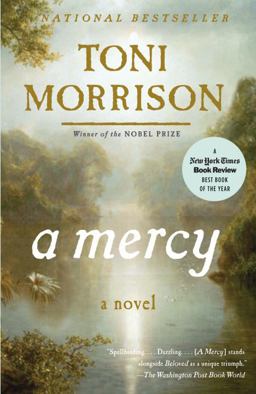 Mercy  9780307276766 Front Cover