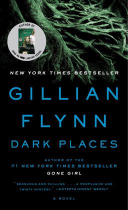 Dark Places A Novel  9780307341570 Front Cover