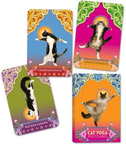 Cat Yoga Postcards  9780307395429 Front Cover