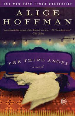 Third Angel A Novel  9780307405951 Front Cover