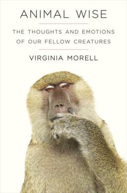 Animal Wise The Thoughts and Emotions of Our Fellow Creatures  9780307461445 Front Cover