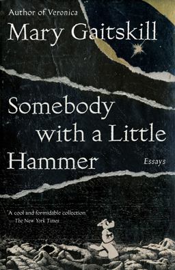 Somebody with a Little Hammer Essays  9780307472335 Front Cover