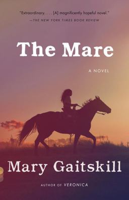 Mare A Novel  9780307743602 Front Cover