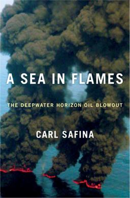 Sea in Flames The Deepwater Horizon Oil Blowout  9780307887351 Front Cover