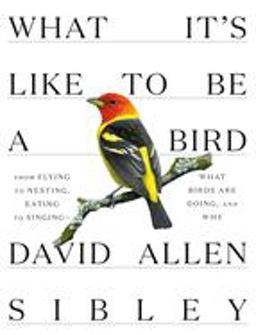 What It's Like to Be a Bird From Flying to Nesting, Eating to Singing--What Birds Are Doing, and Why  9780307957894 Front Cover