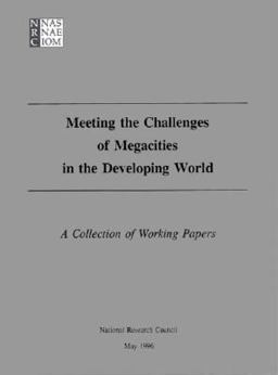 Meeting Megacity Challenges Meeting Megacity Challenges