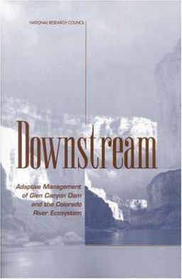 Downstream Downstream