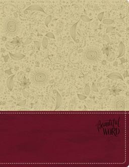 KJV Beautiful Word Bible