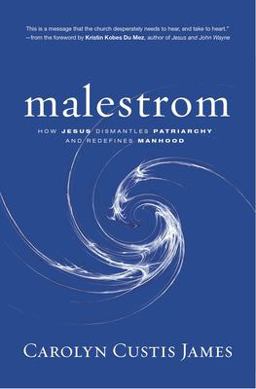 Malestrom How Jesus Dismantles Patriarchy and Redefines Manhood  9780310138891 Front Cover