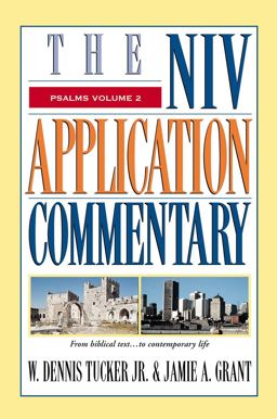 The NIV Application Commentary