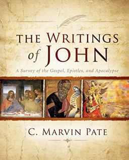 Writings of John A Survey of the Gospel, Epistles, and Apocalypse  9780310267379 Front Cover