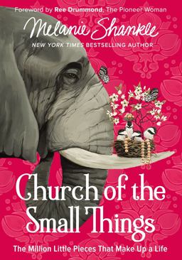 Church of the Small Things The Million Little Pieces That Make up a Life  9780310348870 Front Cover