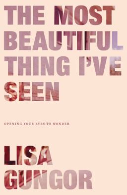 Most Beautiful Thing I've Seen Opening Your Eyes to Wonder  9780310350439 Front Cover
