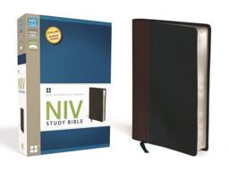 NIV Study Bible