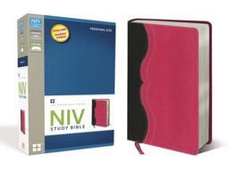 Niv Study Bible