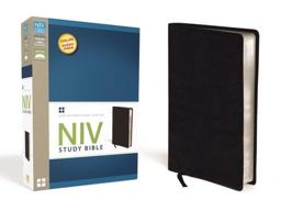 NIV Study Bible